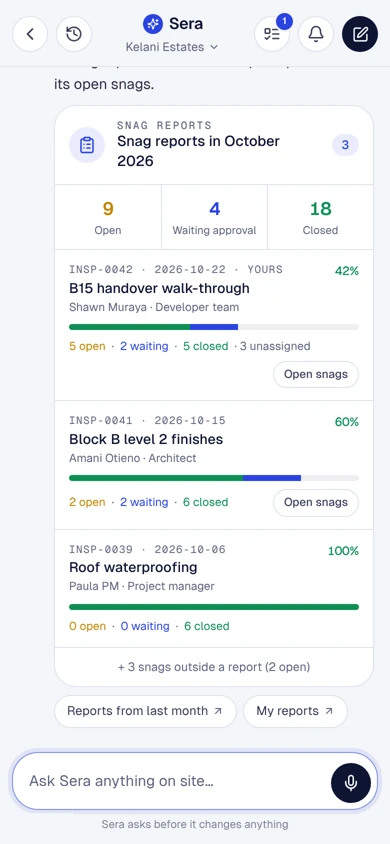 Snag reports